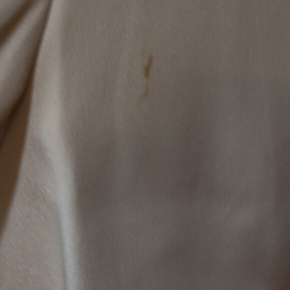 Dana Buchman 100% Silk Cream Ribbon Embroidered Skirt Suit 12/14 - Picture 5 of 16